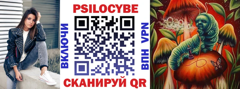Купить где  Верхний Уфалей  Псилоцибиновые грибы Cubensis 