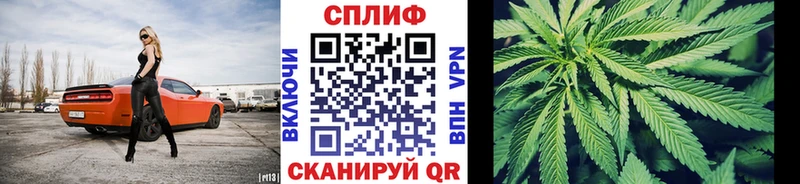 Каннабис ГИДРОПОН  Купить где  Верхний Уфалей 